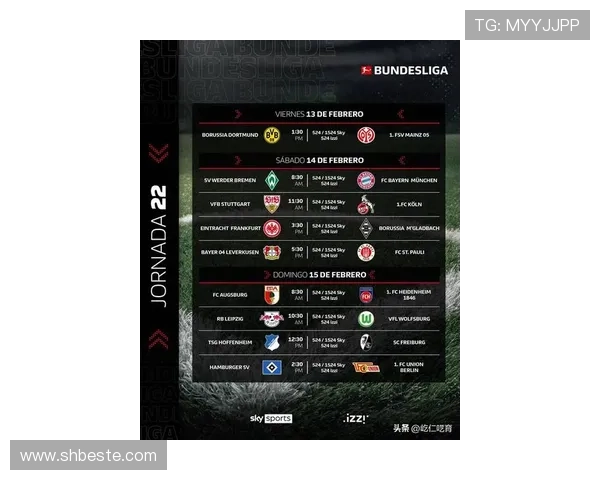 多特蒙德争夺德甲欧冠资格形势分析