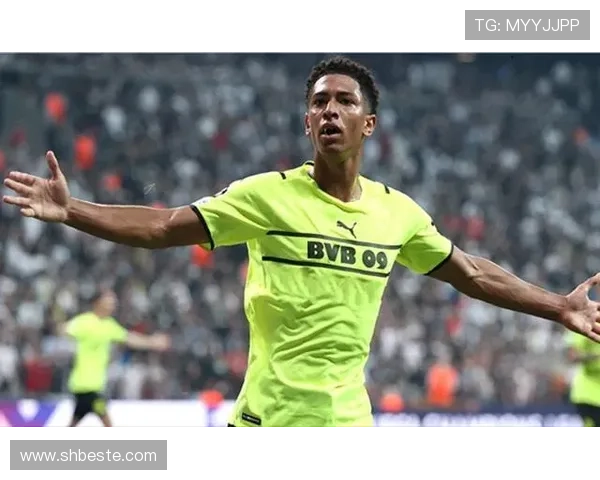 多特蒙德争冠稳定性面临考验,竞争力存疑走势如何 多特蒙德争冠稳定性面临考验,竞争力存疑走势如何